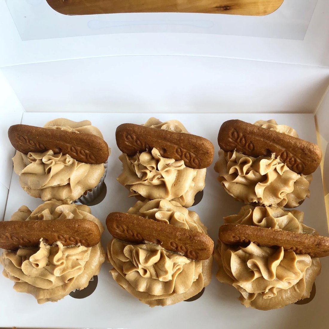 A box of six caramel Biscoff cupcakes topped with Biscoff buttercream and a Lotus biscuit